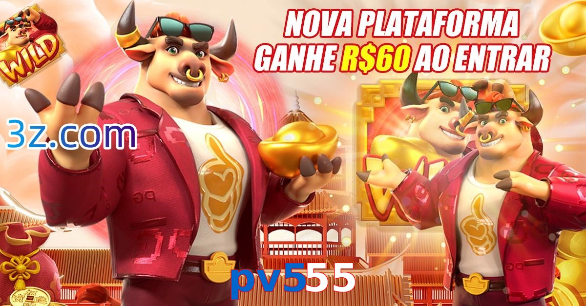 pv555